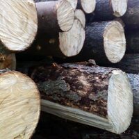 Фермы и балки на МЗП - Деревообработка