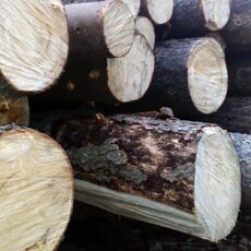 Калиброванная доска - Деревообработка